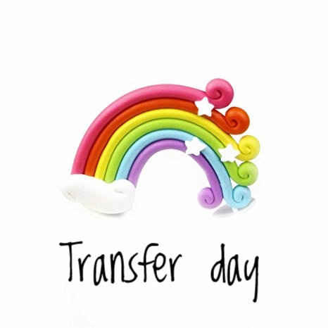 Transfer day - aspirante mamma